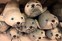 Seal pup toys in shop, Svalbard, Norway, July.