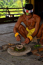 Mentawai man preparing poison for arrows, Siberut Island, Sumatra. July 2016.