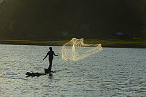 Sumatran fisherman fishing with a cast net, Sumatra. July 2016.