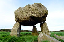 Llech-y-Drybedd Dolmen / Neolithic Chambered Tomb with a 20 ton capstone delicately balanced on 3 uprights, north of the Presceli Hills, Molygrove, Pembrokeshire, Wales, UK, September.