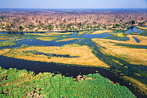 Aerial view of the swamps of the Linyanti River, north Botswana near border with Namibia