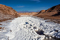 A salt river - temperatures are above 38 C, Valley of the Salt Cordillera, San Pedro de Atacama Area, Atacama Desert, Chile (elevation 2443 m above sea level)