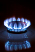 Flame of gas cooker in kitchen