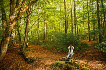 Young girl exploring a forest in autumn, using binoculars, France 2005. Model released.