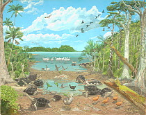Illustration of Mare aux Songes, 4,000 years ago. All of the animals in this image, apart from the Echo Parakeet (Psittacula echo), Pink pigeon (Nesoenas mayeri) Mauritius kestrel (Falco punctatus) an...