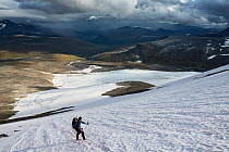 RF - Cross country skier walking on the Svenonius glacier, to Mt Ryggasberget (1946m). Sarek National Park, World Heritage Laponia, Swedish Lapland, Sweden. Model released. (This image may be licensed...