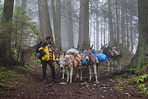 Attila Kovacs leading his donkeys in the Piatra Mare Mountains. He uses the donkeys to transport food to the Piatra Mare mountain refuge. Transylvania, Romania.