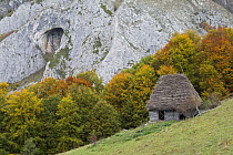Shed, with Belioara in the background, nearby Posaga de Sus, Sasul-Craiului de la Scarita-Belioara. Alba county, Transylvania, Romania.