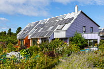 Ecological sustainable housing with solar panels. Findhorn Foundation, Forres, Inverness, Scotland, UK, August.