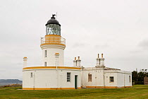 Chanonry Point lighthouse, Black Isle, Ross and Cromarty, in the Scottish Highlands, UK, August 2016.