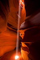 A shaft of light illuminating the interior of Antelope Canyon, Navajo Tribal Park, Arizona, USA.