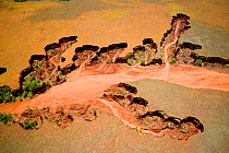 Aerial view of eroded banks and river with suspended load, caused by deforestation, central Madagascar.