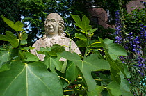 Statue in Botanic Garden Leiden, Netherlands, August.