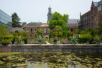 Botanic Garden Leiden, Leiden, Netherlands, July 2013.