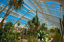 Interior of greenhouse at Botanic Garden Meise, Belgium, August 2013.