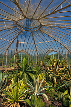 Interior of Balatkas Greenhouse, Botanic Garden Meise, Belgium, Augus 2013.