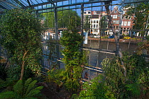 View out to river from greenhouse of Botanic Garden Amsterdam, the Netherlands, August 2013.