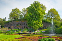 Utrecht University Botanic Gardens, the Netherlands, May 2013.