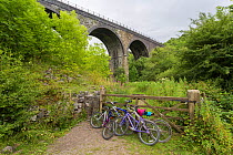 Bicycles parked near the Headstone Viaduct, part of the Monsal Trail cycle route, Peak District National Park, Derbyshire, UK July