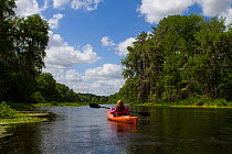 RF - Kayaking spring-fed Ichetucknee River. Ichetucknee River State Park, Fort White, Florida, USA. Model released. (This image may be licensed either as rights managed or royalty free.)