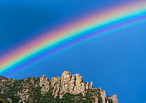 Rainbow over Geology Vista, with Granite spires form a jagged edge to mountain top ridges. Santa Catalina Mountains, Coronado National Forest, Arizona, USA, September.