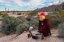Effigy of US President Donald Trump in the El Camino del Diablo, Barry M. Goldwater bombing range, near the Arizona/Mexico border. This effigy or shrine has been placed in an area where illegal migran...