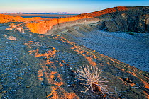 Desert environment in the  Pinacate and Grand Desert Biosphere Reserve, Cerro Coloardo near the border wall along the US-Mexican border through the Sonoran Desert in Arizona and Mexico. January 2009.