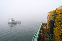 Lobster boat sits in morning fog at harbour, Yarmouth, Maine, USA October