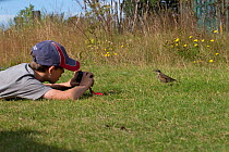 Boy photographing an Icelandic Redwing (Turdus iliacus coburni), Iceland, August. Model released