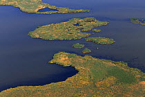 Reed (Phragmites australis) island from above (aerial view), Danube Delta, Romania. June.