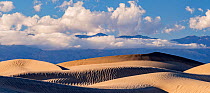 Mesquite Dunes, with sand patterned ridges against the Amargosa Mountains in afternoon light. Death Valley National Park, California, USA, January.