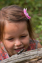 Stag Beetle (Lucanus cervus) Male being observed by young girl, Hertfordshire, England, UK, June Model released.