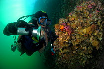 Reasearcher Gunter Forsterra researching Comau Fjord, Patagonia, Chile, Atlantic Ocean