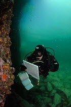 Reasearcher Katie McConnell from the Huinay Scientific Field Station is holdig a clippbord to make records under water. Comau Fjord, Patagonia, Chile, Atlantic Ocean
