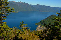 Comau Fjord is a 68 km long fjord that penetrates the mainland of Patagonia Chile, Atlantic Ocean.