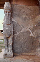 Ancient Assyrian human headed bull guarding the doorway to the palace of King Ashur Nasipal II at Nimrud, Iraq. . In 2014 Hatra was taken over by Islamic State militants and much of the site was destr...