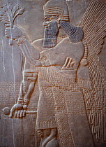 Ancient Assyria alabaster carving from the palace of King Ashur Nasipal II at Nimrud, Iraq.. In 2014 Hatra was taken over by Islamic State militants and much of the site was destroyed in 2015.