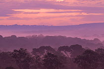 Landscape of gallery forest, marshes, wooded savanna at dawn. La Ruvubu National Park, Burundi.