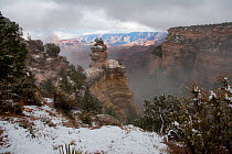 Snow at Grand Canyon, Arizona, USA, November 2016.