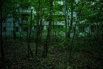 Abandoned tower block in Pripyat, Chernobyl Exlusion Zone, Ukraine September