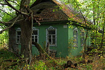 Old home in the Chernobyl Exclusion Zone, Ukraine September