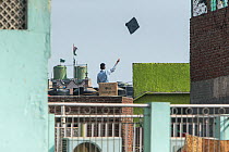 Kite flyers on roof top, Delhi, India.