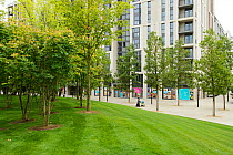 Environmental enrichment designed into housing estate, East Village housing at site of Olympic Village, Stratford, London, UK 2014