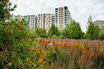 Environmental enrichment designed into housing estate, East Village housing at sit of Olympic Village, Stratford, London, UK 2014