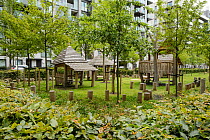 Environmental enrichment designed into housing estate with Hornbeam hedges, fruit trees and children's playground, Easy Village housing at site of Olympic Village, Stratford, London UK 2014