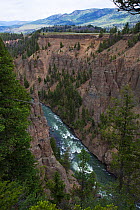 Tower Canyon Gorge near Calcite Springs, Yellowstone Nataional Park, Wyoming, USA, June 2015