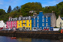 Colourful buildings on the harbour front, Tobermory, Isle of Mull, Inner Hebrides, Scotland, May 2014.