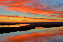 Sunset over Ile d'Olonne marsh, Vendee, France, December