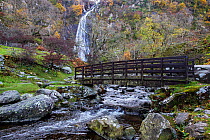 Aber Falls (Rhaeadr-fawr) showing the footbridge for the North Wales Path over the stream below the falls near Abergwyngregyn, Gwynedd, North Wales, UK, November 2016.