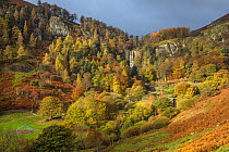 Pistyll Rhaeadr waterfall in autumn showing the head of the valley - near Llanrhaeadr-ym-Mochnant, Powys, North Wales, UK, November 2016.